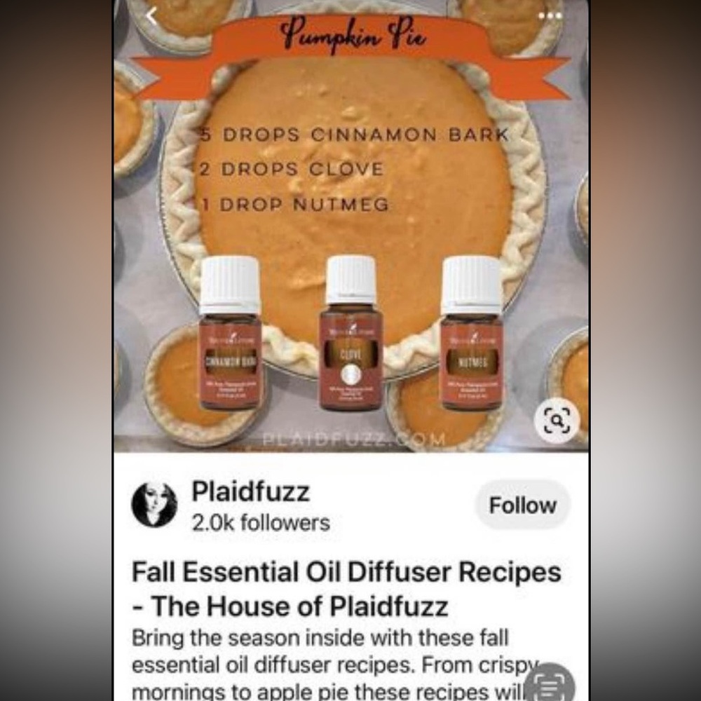 Pumpkin Pie Spice (3 Essential Oils)